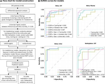 Spermine-Related DNA Hypermethylation and Elevated Expression of Genes for Collagen Formation are Susceptible Factors for Chemotherapy-Induced Hand-Foot Syndrome in Chinese Colorectal Cancer Patients